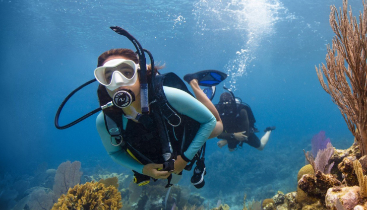 Plongeurs sous-marins explorant un récif corallien vibrant dans une eau bleue claire