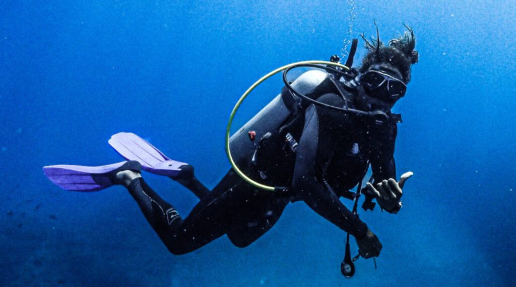 Diver in the water