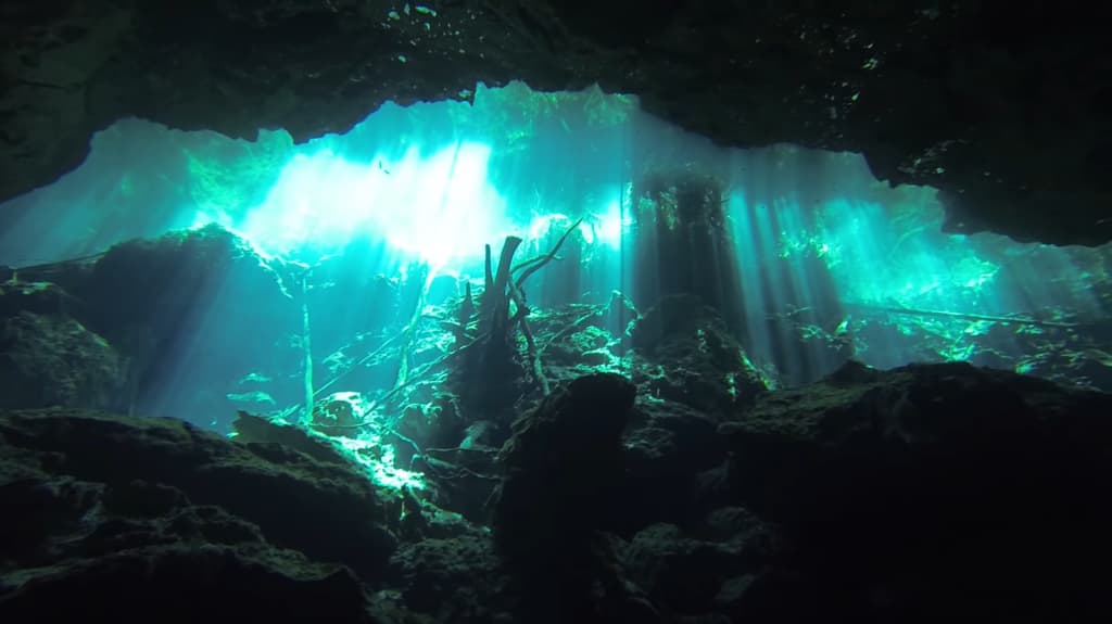 Vue sous-marine d'une forêt de roches sous un ciel d'eau lumineux