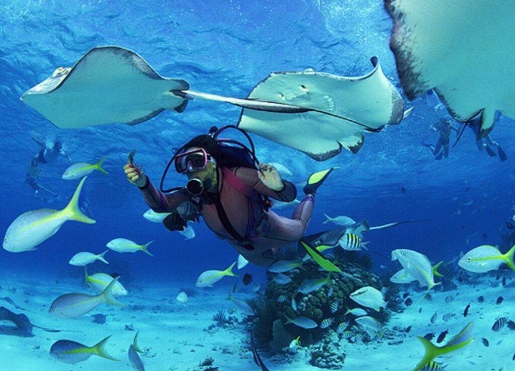 Un plongeur faisant un pouce en l'air entouré de raies et de poissons sous l'eau