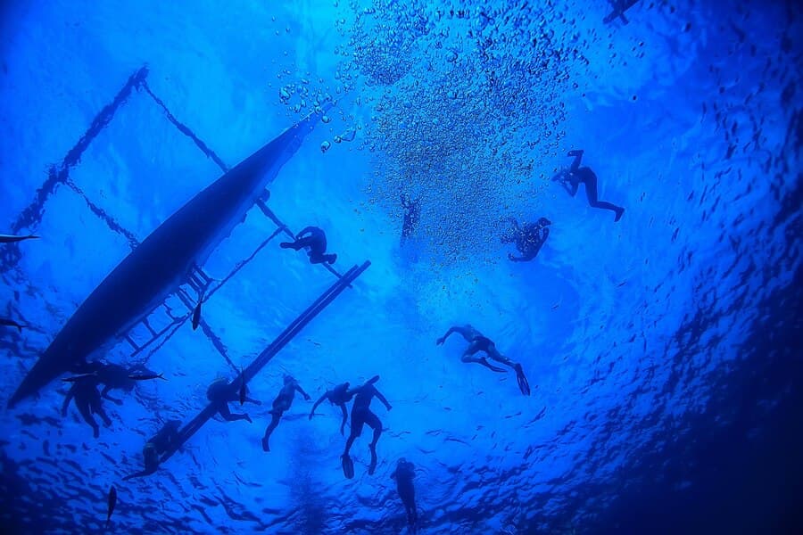 Un groupe de personnes fait de la plongée sous-marine