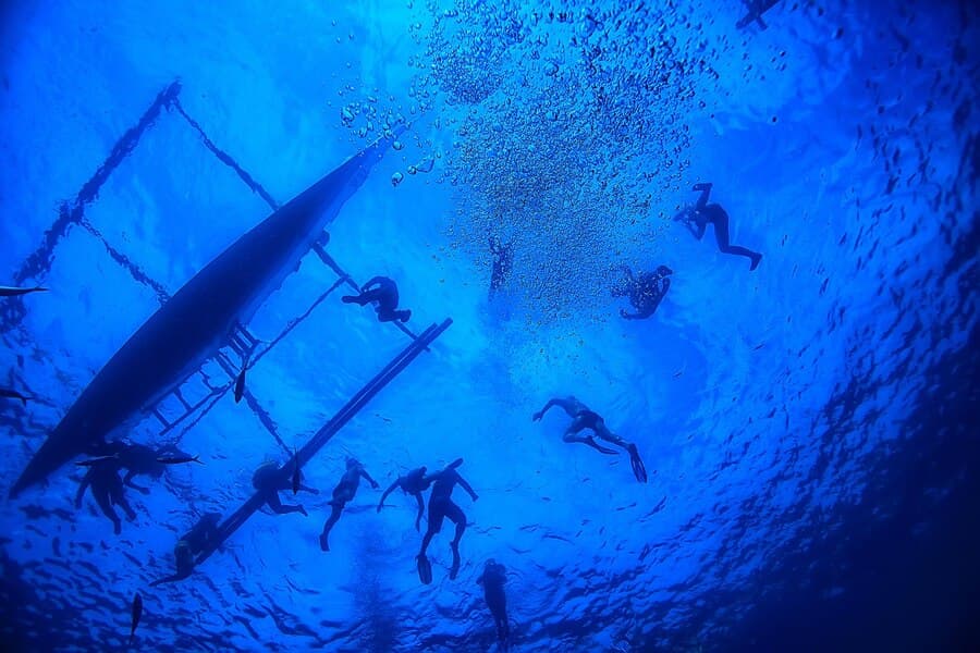 Stage de Plongée Sous-Marine: Découverte et Formation