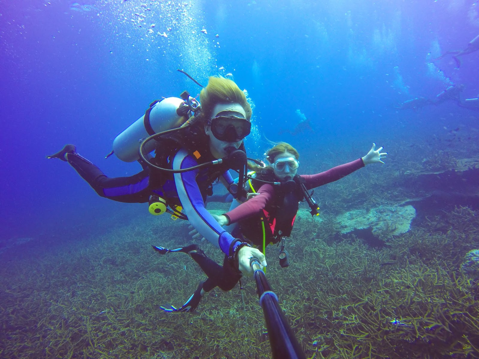 Explorez le Monde Étonnant du Plongeur PADI Certifié